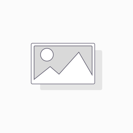 [ELA-DSM-MGMT] Datenschutzmanager – Datenschutzmanagementsystem & Governance
